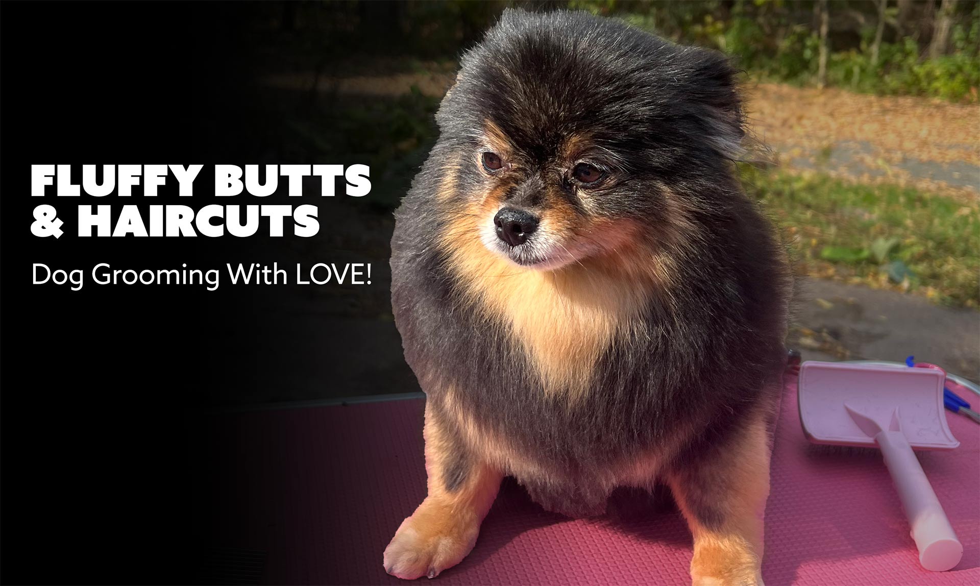 Fluffy Butts and Haircuts - Dog Grooming with love!